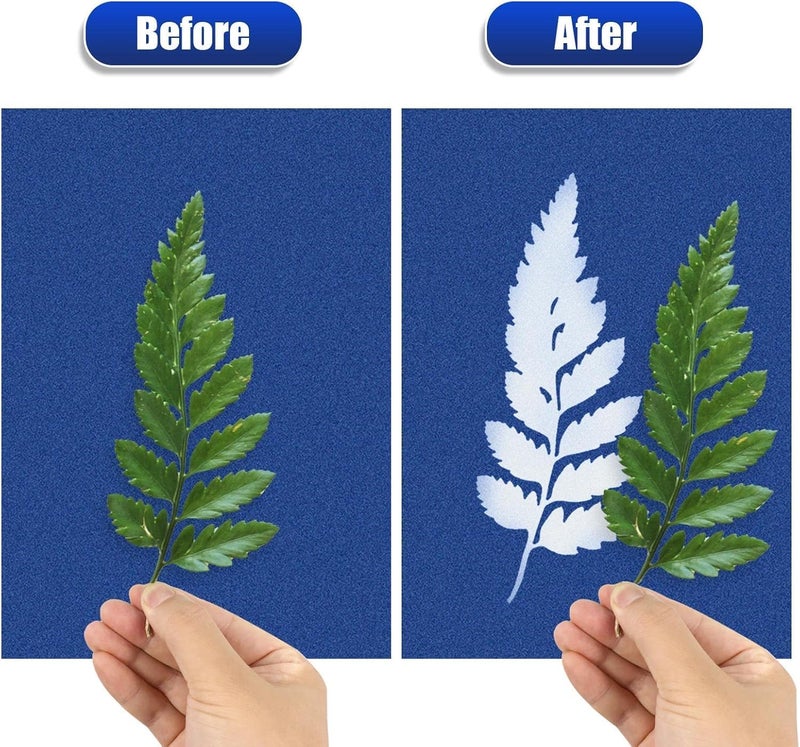 LIGHOON Sun Print Paper Kit Cyanotype Paper, 60 Sheets Cyanotype Papers with 1 Sheet Acrylic Panel, High Sensitive Nature Solar Activated Printing Art Supplies for Arts Crafts DIY Project - Image 4